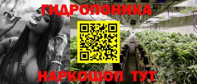 таблы Новозыбков