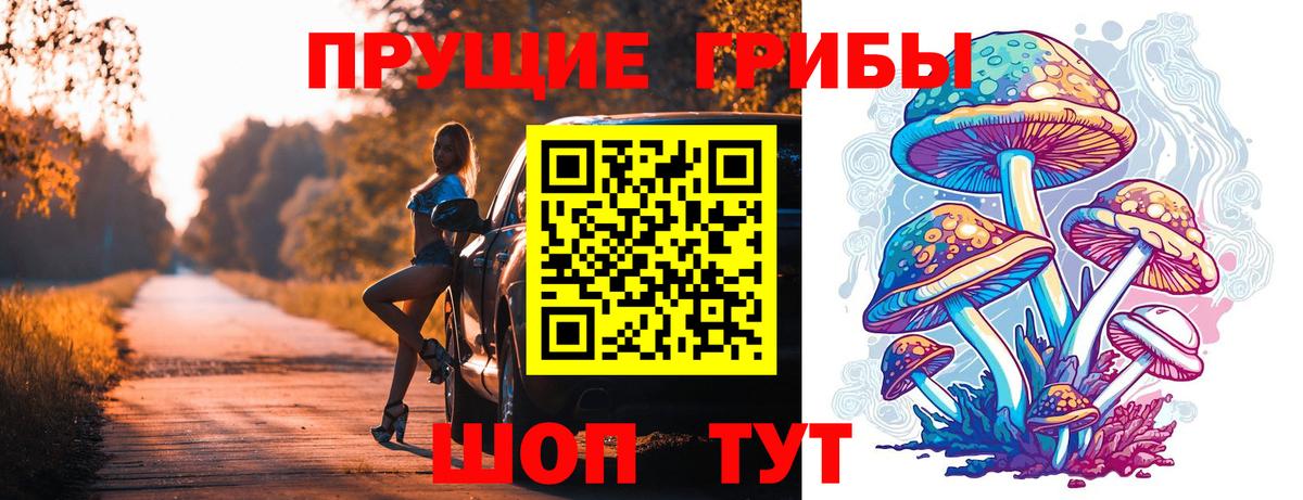 Дятьково  как найти   Вход с VPN  Псилоцибиновые грибы GOLDEN TEACHER 